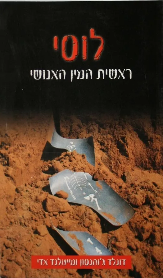 לוסי | דונלד ג`והנסון, מייטלנד אדי 3