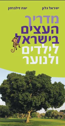 מדריך העצים בישראל לילדים ולנוער | ישראל גלון, יונה זילברמן 3