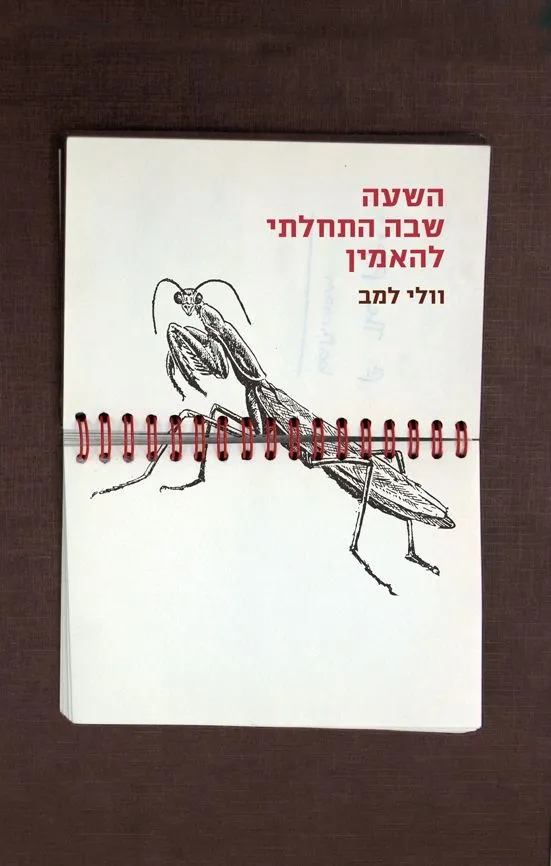 השעה שבה התחלתי להאמין | וולי למב 3