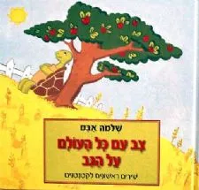 צב עם כתם על הגב | שלמה אבס