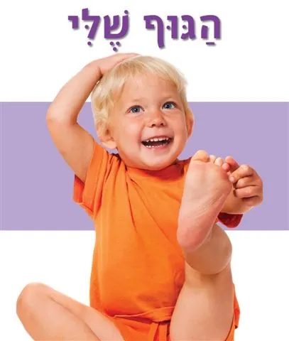 הגוף שלי (ספר מרופד) | The Book Company 3