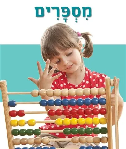 מספרים (ספר מרופד) | The Book Company 3