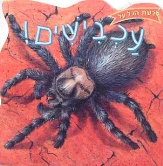 לדעת הכל על עכבישים! | כריסטופר ניקולס