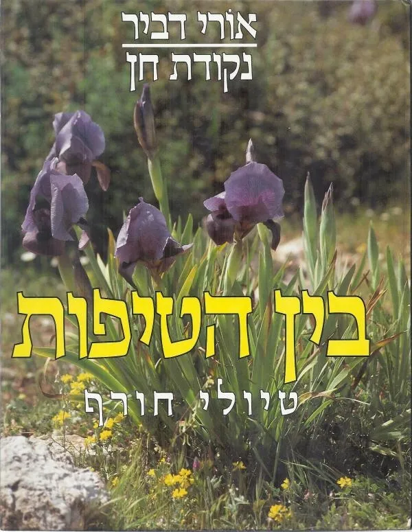 בין הטיפות-נקודת חן | אורי דביר 3