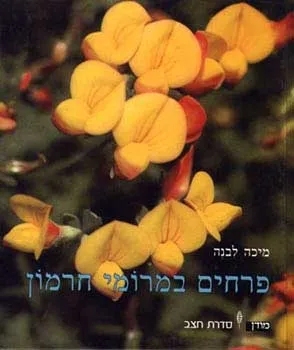 פרחים במרומי חרמון - סדרת חצב | מיכה לבנה 3