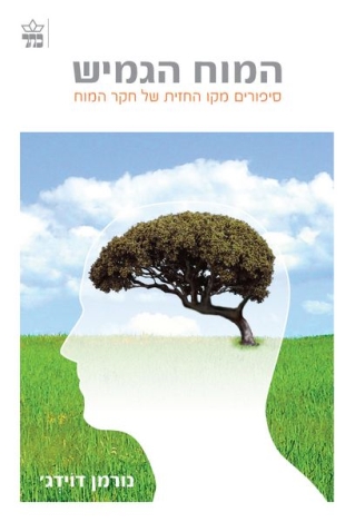 נורמן דוידג'