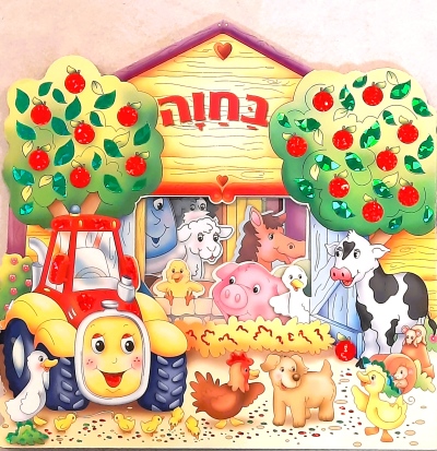 ספר חלונות - בחוה THE BOOK COMPANY