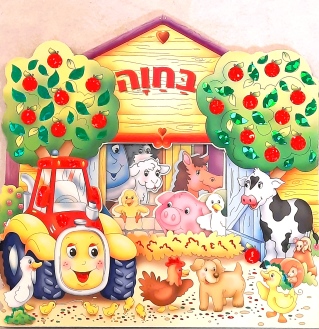 ספר חלונות - בחוה THE BOOK COMPANY