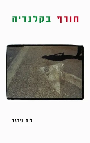 חורף בקלנדיה | ליה נירגד 3