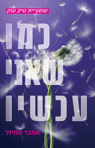 כמו שאני עכשיו /אמבר סמית