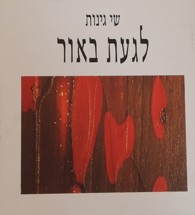 לגעת באור / שי גינות
