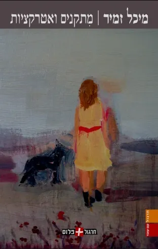 מתקנים ואטרקציות | מיכל זמיר