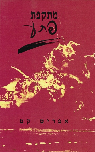 מתקפת פתע / אפרים קם