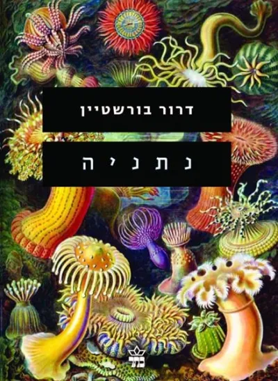 נתניה / דרור בורשטיין