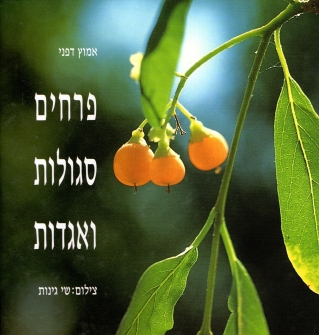 פרחים , סגולות ואגדות 
            