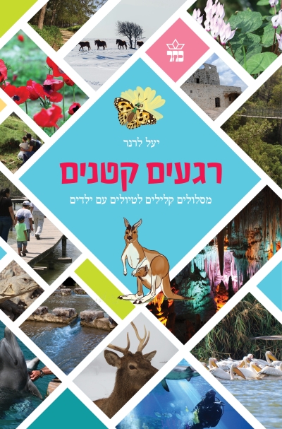 רגעים קטנים / יעל לרנר