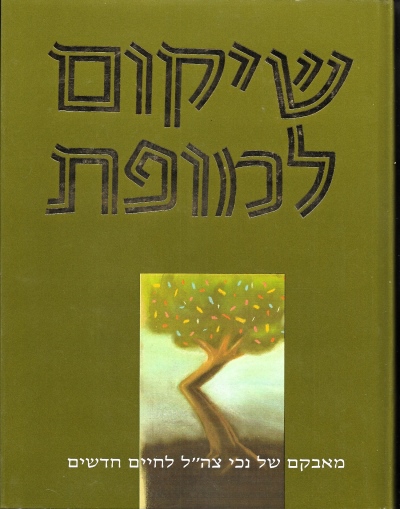 שיקום למופת / עריכה יהודה חשאי