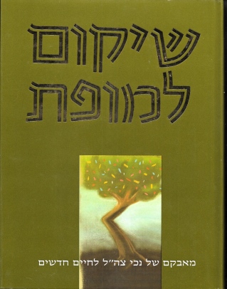 שיקום למופת / עריכה יהודה חשאי