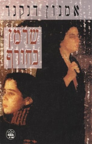 שרמן בחורף / אמנון דנקנר